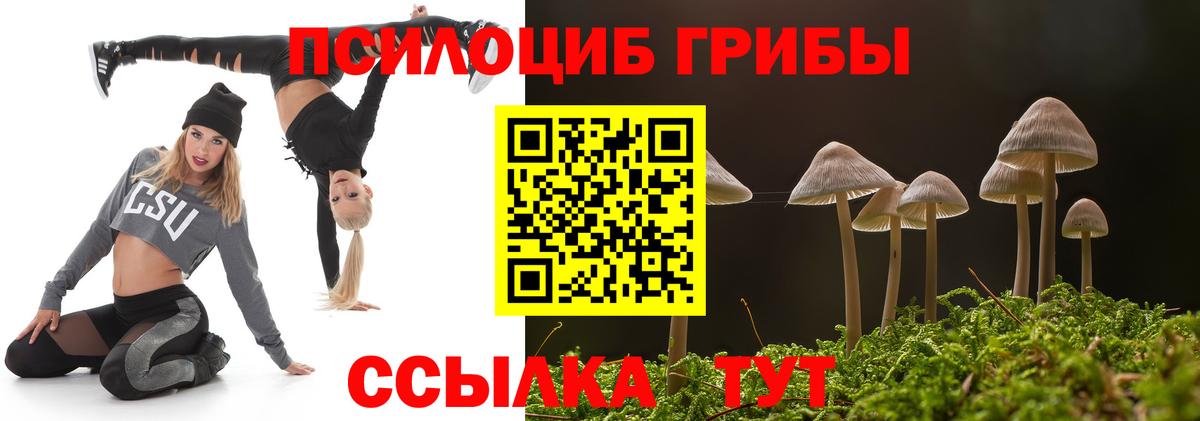 Псилоцибиновые грибы Psilocybe  Вход с VPN  Луховицы  Псилоцибиновые грибы Psilocybine cubensis 